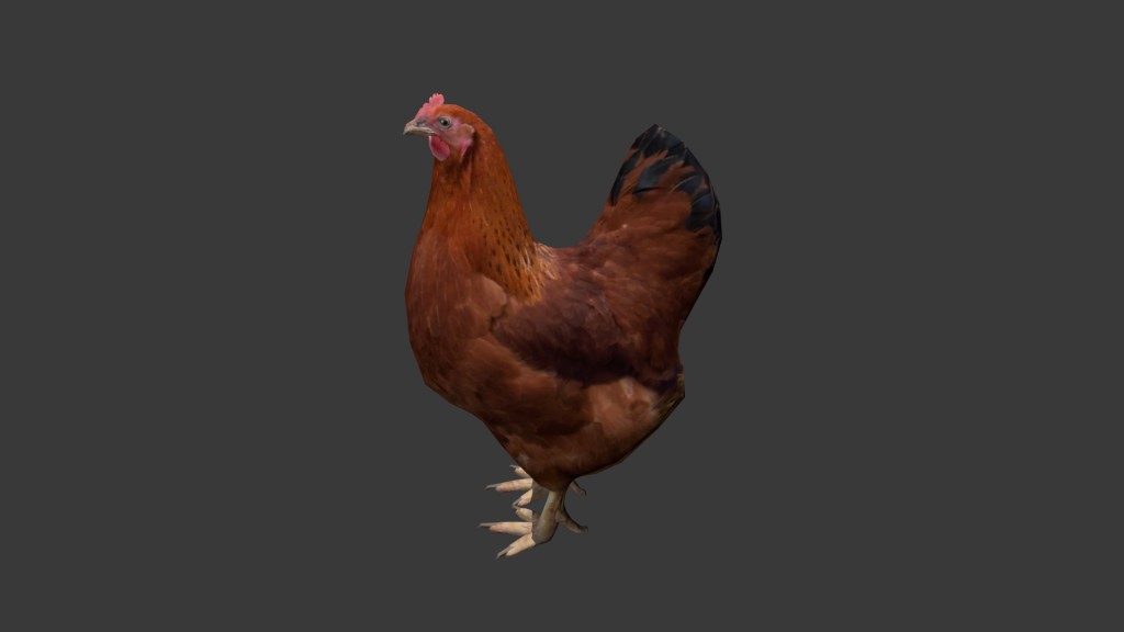 Chicken preview image 4